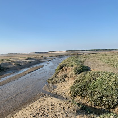 Image de couverture : Chambres d'hôtes à Fort-Mahon-Plage