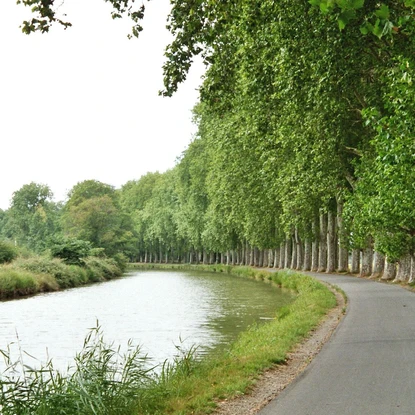 Image de couverture : Vacances au Canal du Midi avec Clévacances - Gîtes et Chambres d'Hôtes Parfaits