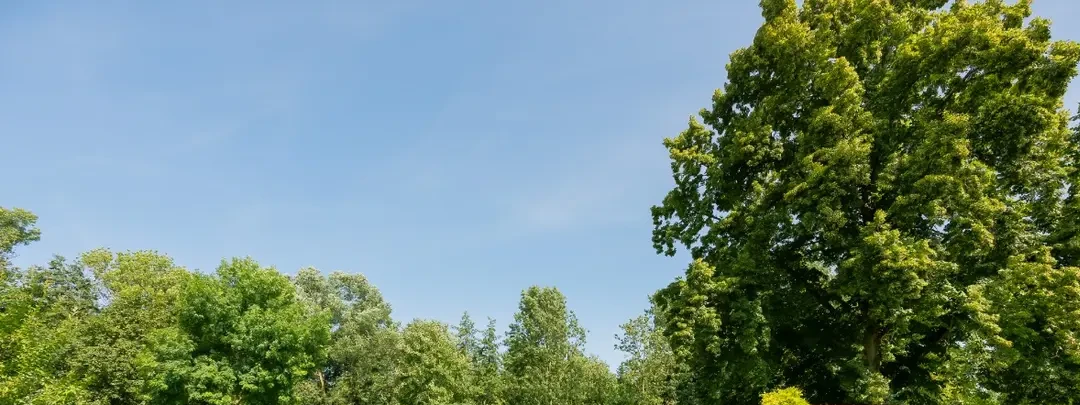 Vue de Vouziers 08 Ardennes