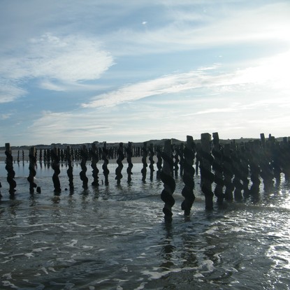 Image de couverture : Chambres d'hôtes à Quend Plage