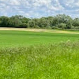 Vue de fleury la rivière dans la marne 51