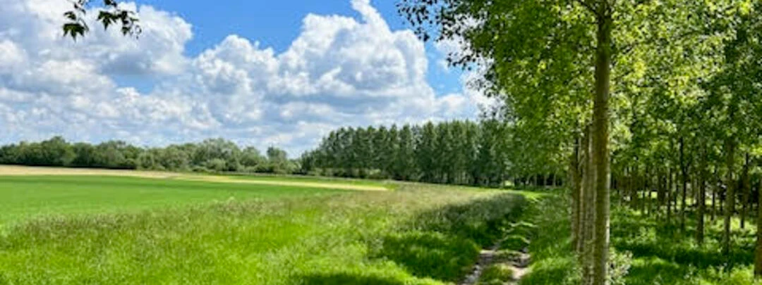 Vue de fleury la rivière dans la marne 51