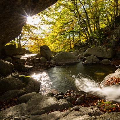Image de couverture : Parc Naturel Régional des Monts d'Ardèche