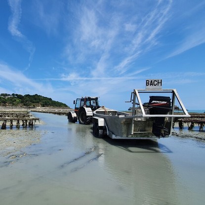 Parcs à huîtres et bateau amphibie à Cancale dans la Baie du Mont Saint-Michel. Crédits photo : SMBMS