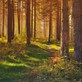 Image de couverture : Locations de vacances à Isles-sur-Suippe