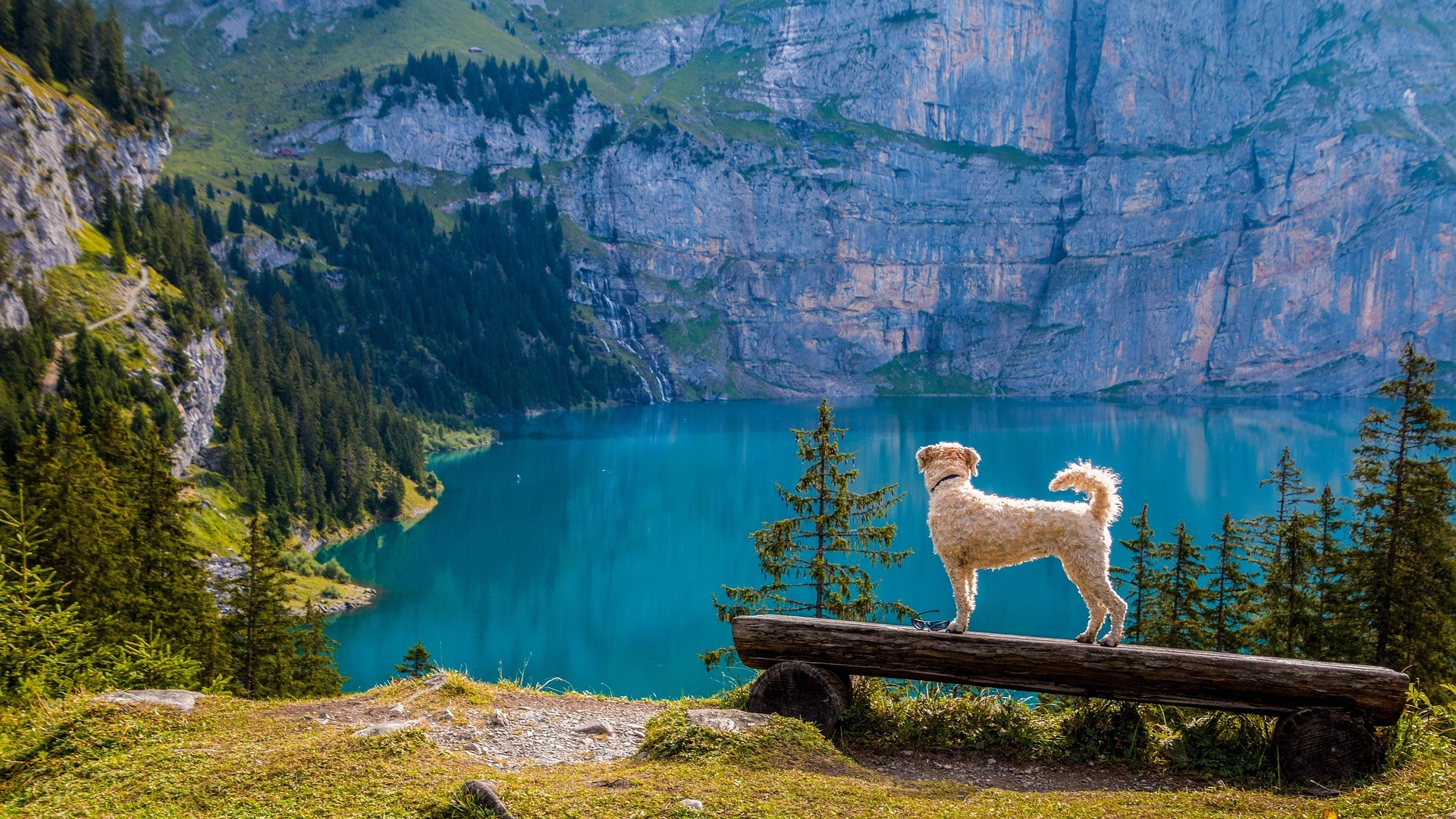 Image de couverture : Découvrir Montgardin, village authentique près du lac de Serre-Ponçon