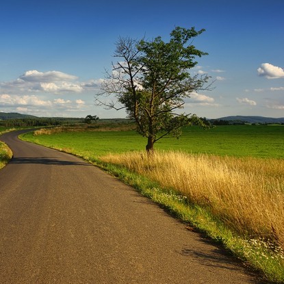 Vue de la nature à Arcis sur Aube 10 Aube