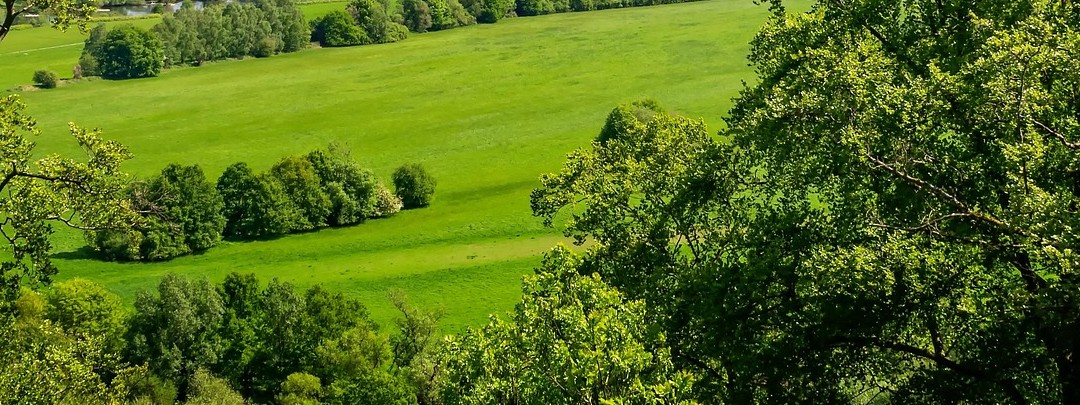 Cover image: Gîtes in Haybes