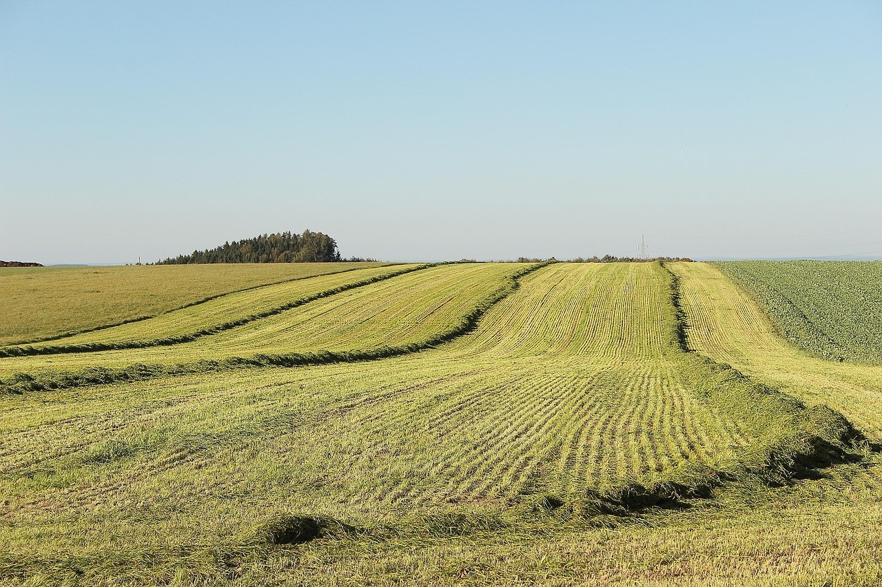 Vue sur les Champs et la nature à Germinon 51 Marne