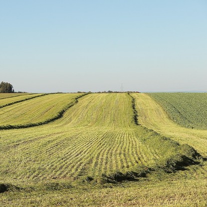 Vue sur les Champs et la nature à Germinon 51 Marne