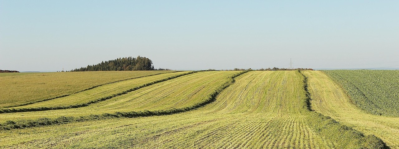 Vue sur les Champs et la nature à Germinon 51 Marne