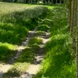 Vue sur Beaumont-en-argonne ardennes
