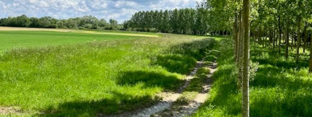 Vue sur Beaumont-en-argonne ardennes
