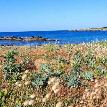 Image de couverture : La Presqu'île de Quiberon : Une île presque à part entière