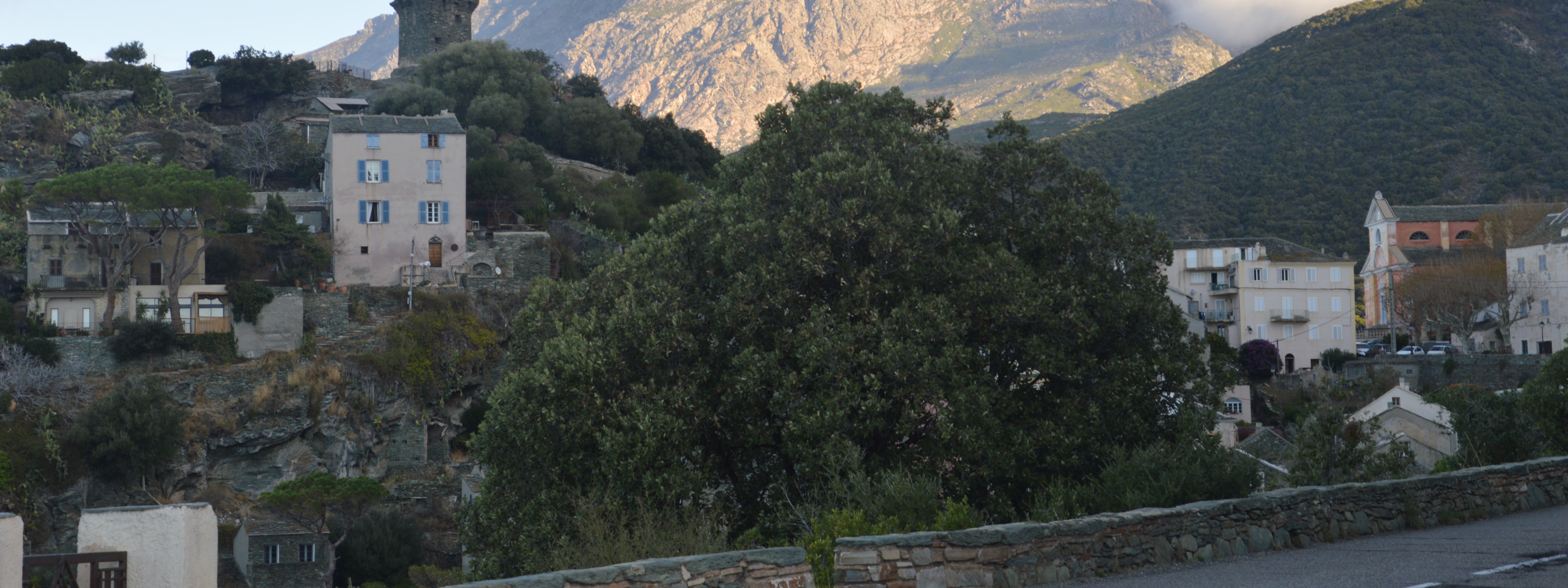 Copyright Foglìa Design