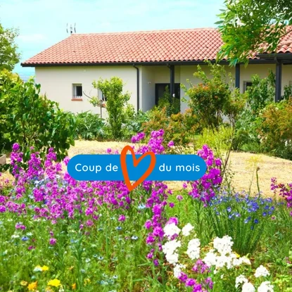 Image de couverture : Nos coups de cœur du mois