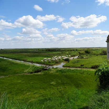 Image de couverture : Location de vacances à Marennes