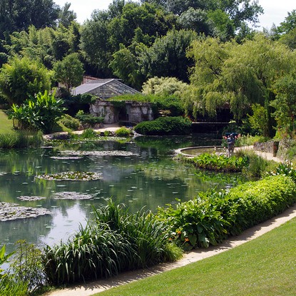 Cover image: Parc des Nénuphars de Latour-Marliac : un joyau floral du Lot-et-Garonne