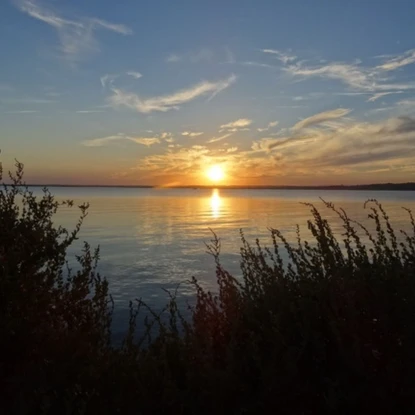 Cover image: L'Étang de Thau : Le plus grand plan d'eau du Languedoc