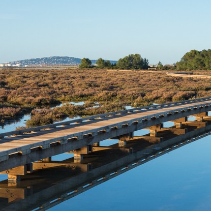 Cover image: Location de vacances à Vic-la-Gardiole