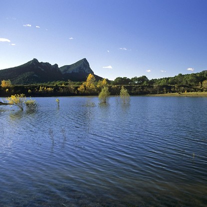 Cover image: Le Pic Saint-Loup : Randonnées et Vignobles dans l'Hérault