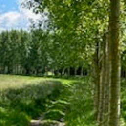 Vue sur la nature à Matougues 51 Marne