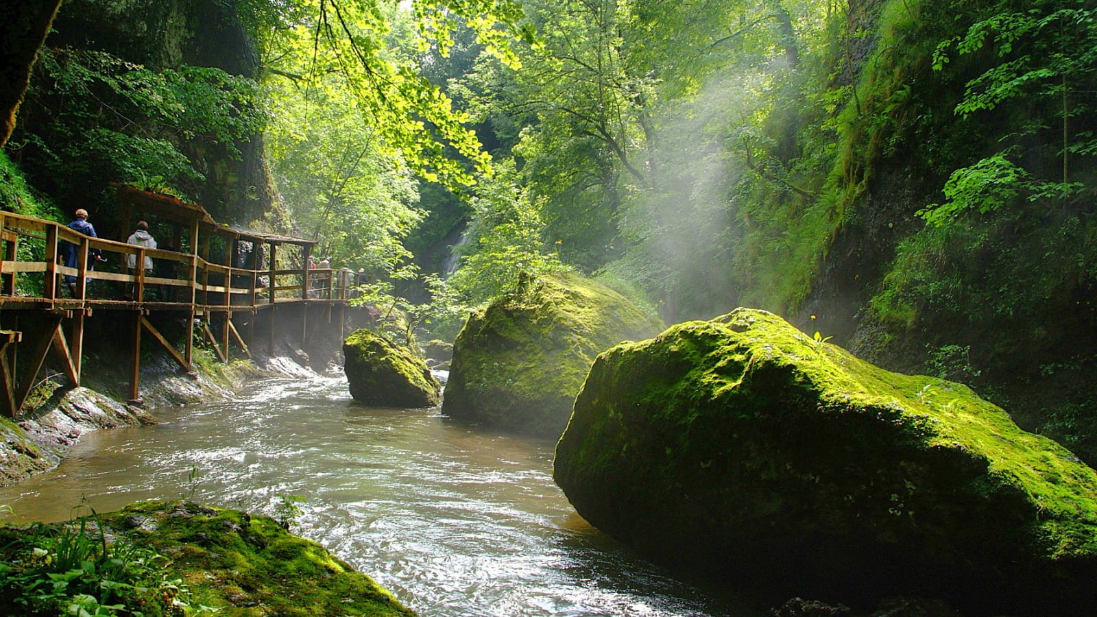 Cover image: Holiday rentals Cantal