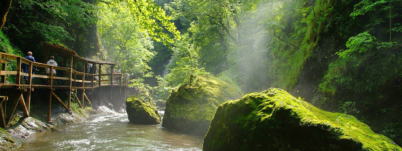 gorgesjordannecp-tbonnet
