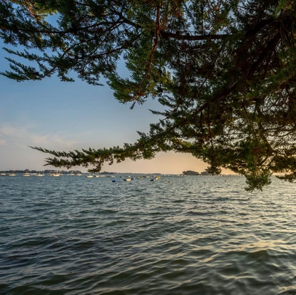 Image de couverture : Golfe du Morbihan : Un Joyau Naturel au Cœur de la Bretagne
