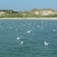 Image de couverture : Location de vacances Le Touquet-Paris-Plage