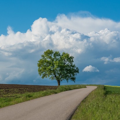 Vue sur la nature à Prunay 51 Marne