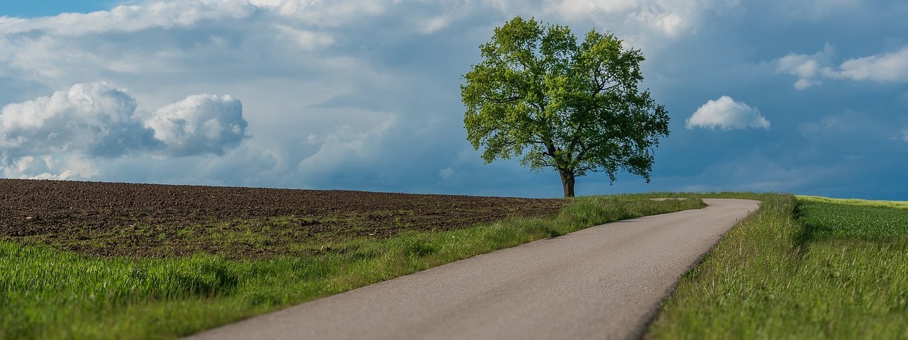 Vue sur la nature à Prunay 51 Marne