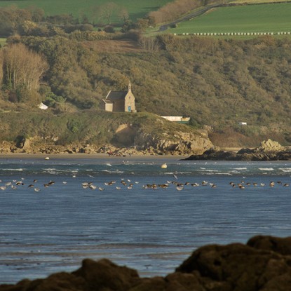 Image de couverture : Chambres d'hôtes à Morieux / Lamballe-Armor