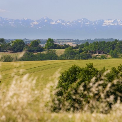 Cover image: Foie gras et traditions gourmandes dans l’Arats et Savès, cœur du Gers