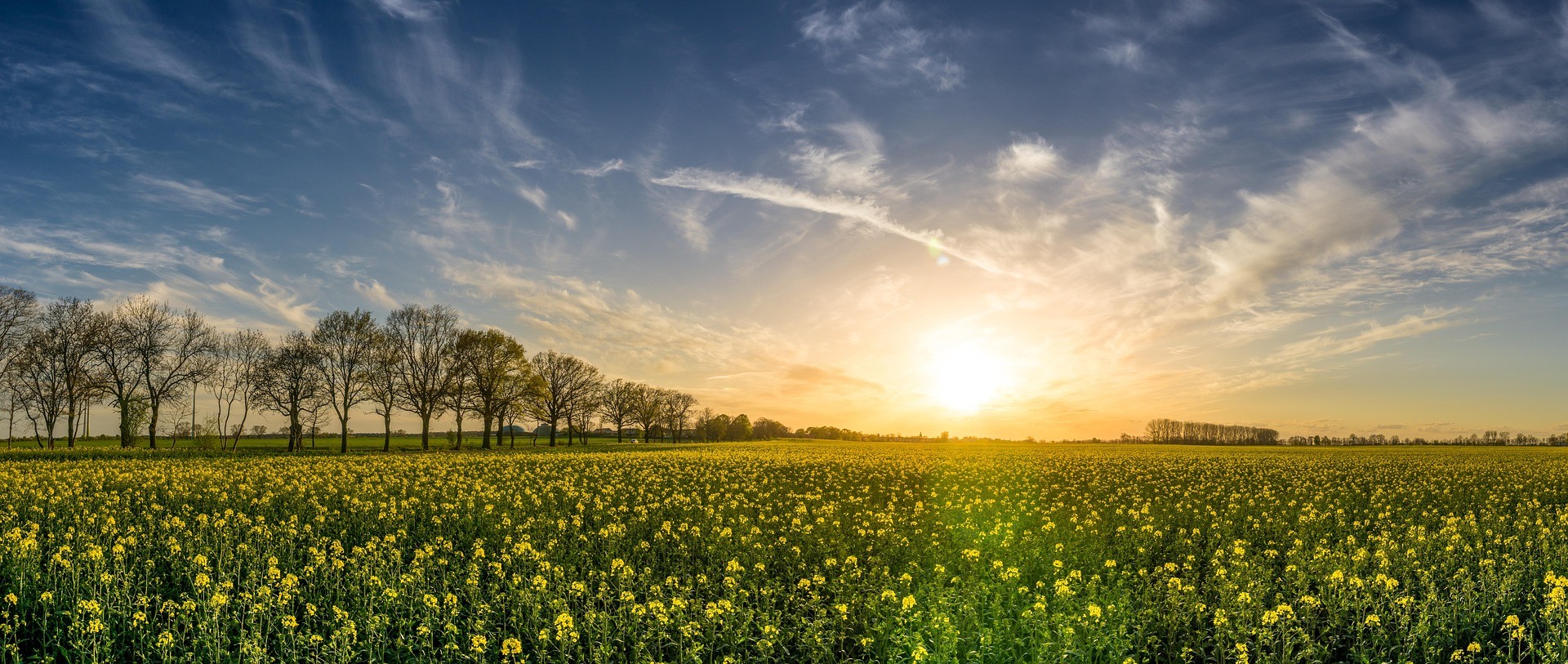 Vue sur la campagne et la nature de Arrentières 10 Aube