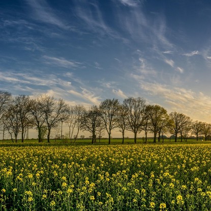 Vue sur la campagne et la nature de Arrentières 10 Aube