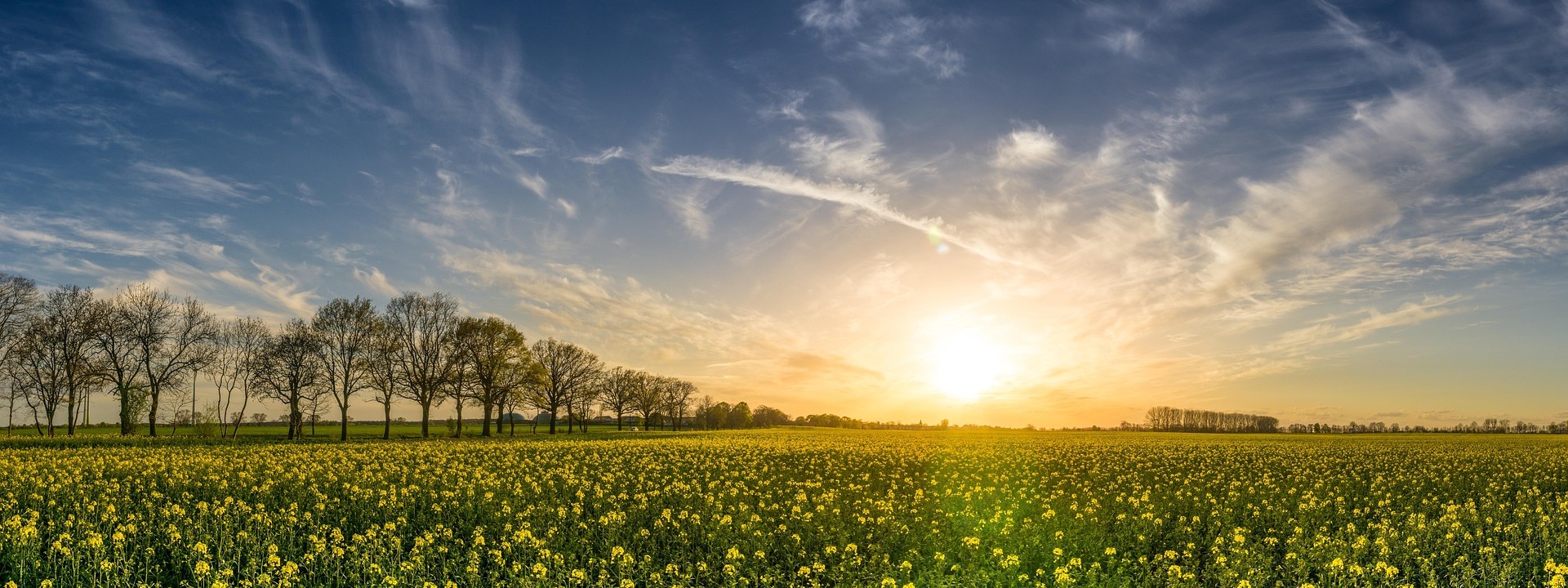 Vue sur la campagne et la nature de Arrentières 10 Aube