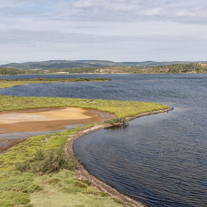 Image de couverture : Explorez la Réserve Africaine de Sigean - Séjours Uniques avec Clévacances