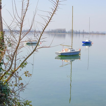 Image par loic Tijsseling