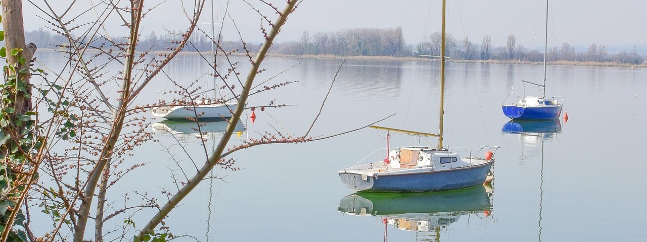Image par loic Tijsseling