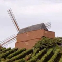 Vue sur le moulin de Verzenay dans la Marne 51