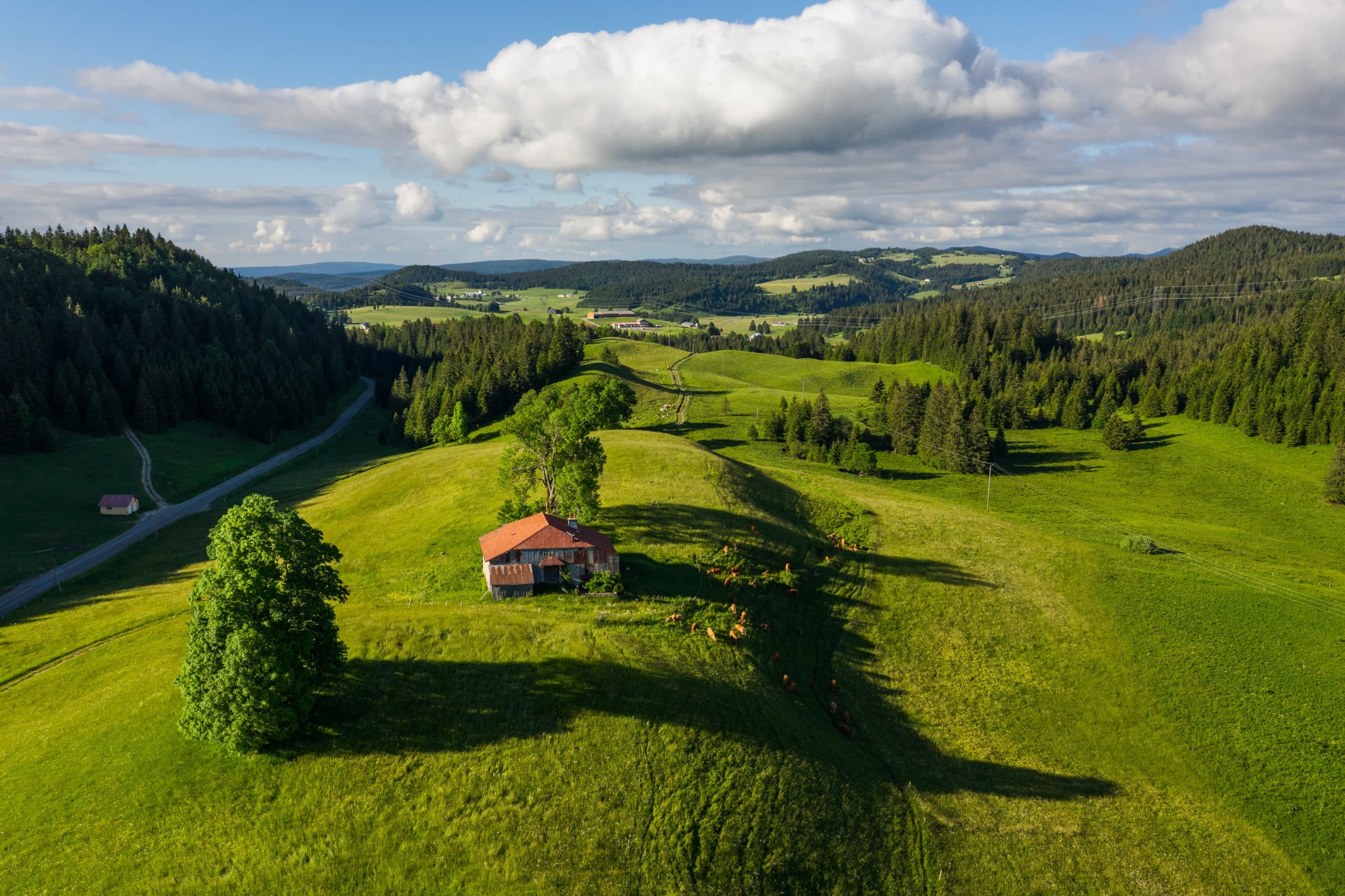 Image de couverture : Parc naturel du Haut-Jura : un écrin de nature à découvrir