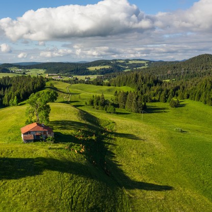 Cover image: Parc naturel du Haut-Jura : un écrin de nature à découvrir