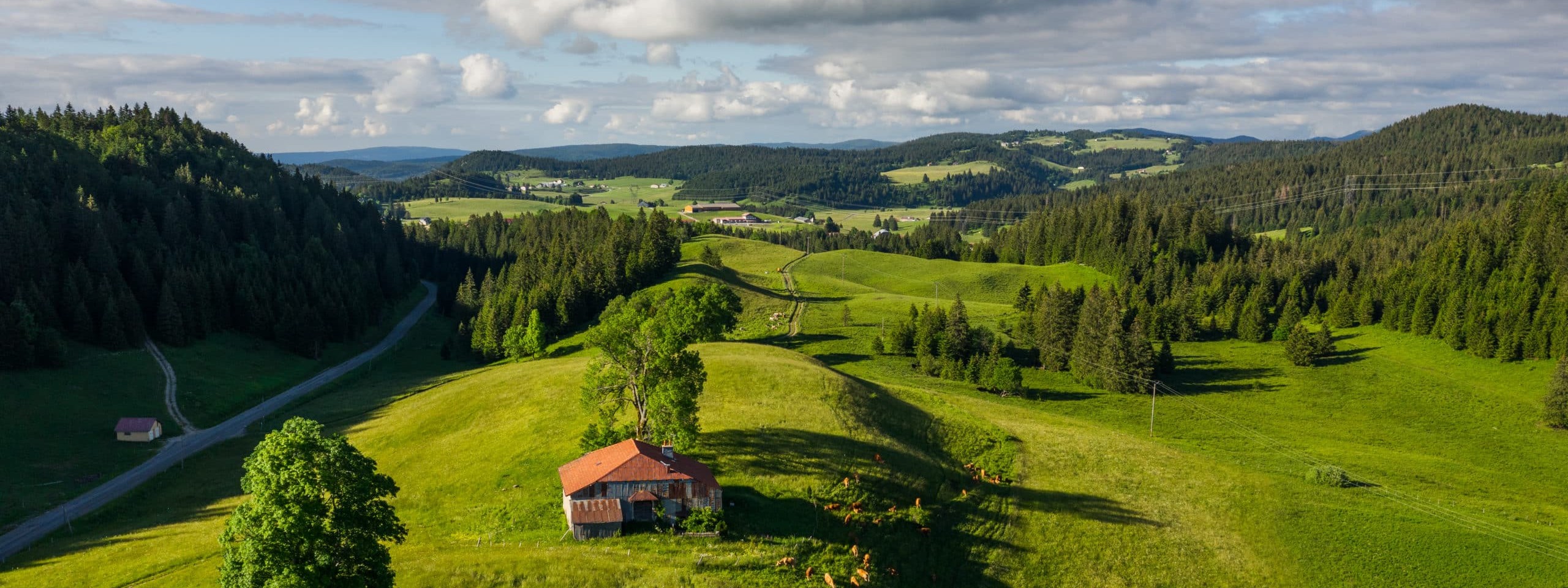 Image de couverture : Parc naturel du Haut-Jura : un écrin de nature à découvrir