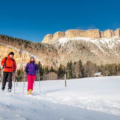 Cover image: Explorez la Chartreuse : Nature et Patrimoine entre Isère et Savoie