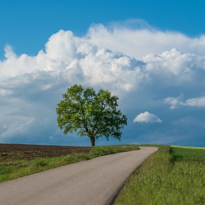 Vue sur la nature à Prunay 51 Marne