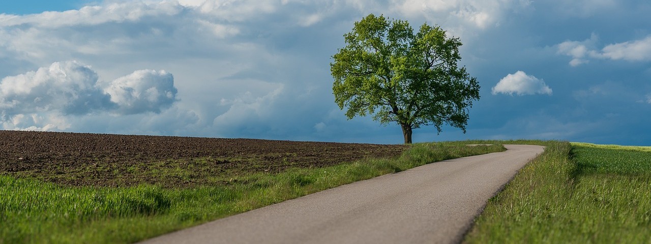Vue sur la nature à Prunay 51 Marne