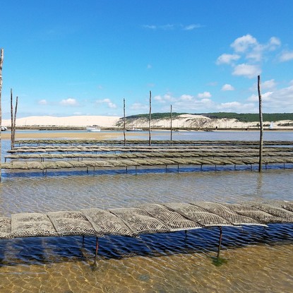 Image de couverture : Locations de vacances au Bassin d'Arcachon