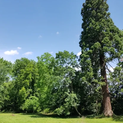 Vue sur la nature à Sainte menehould 51 Marne