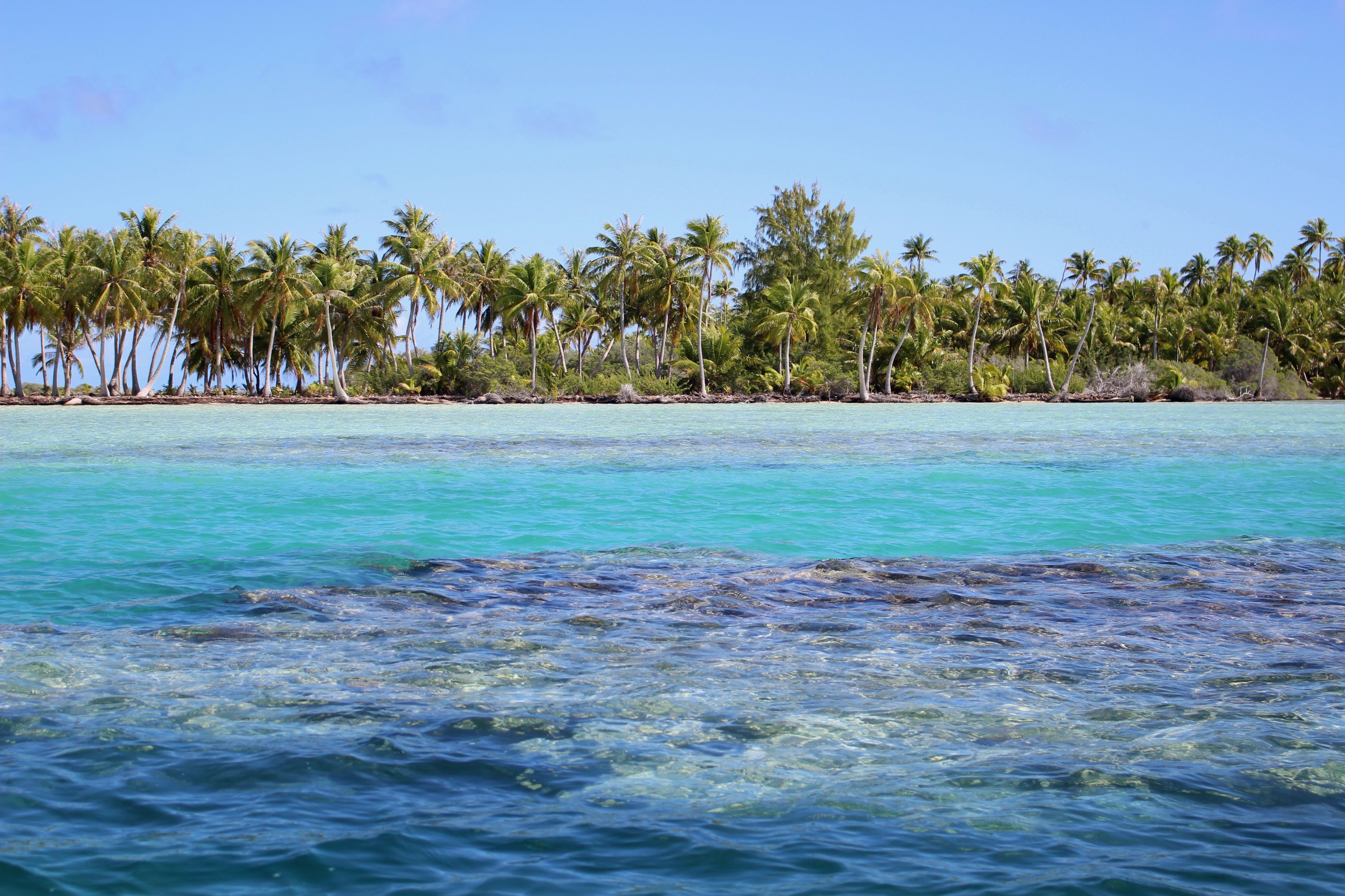 Cover image: Location de vacances à Fakarava